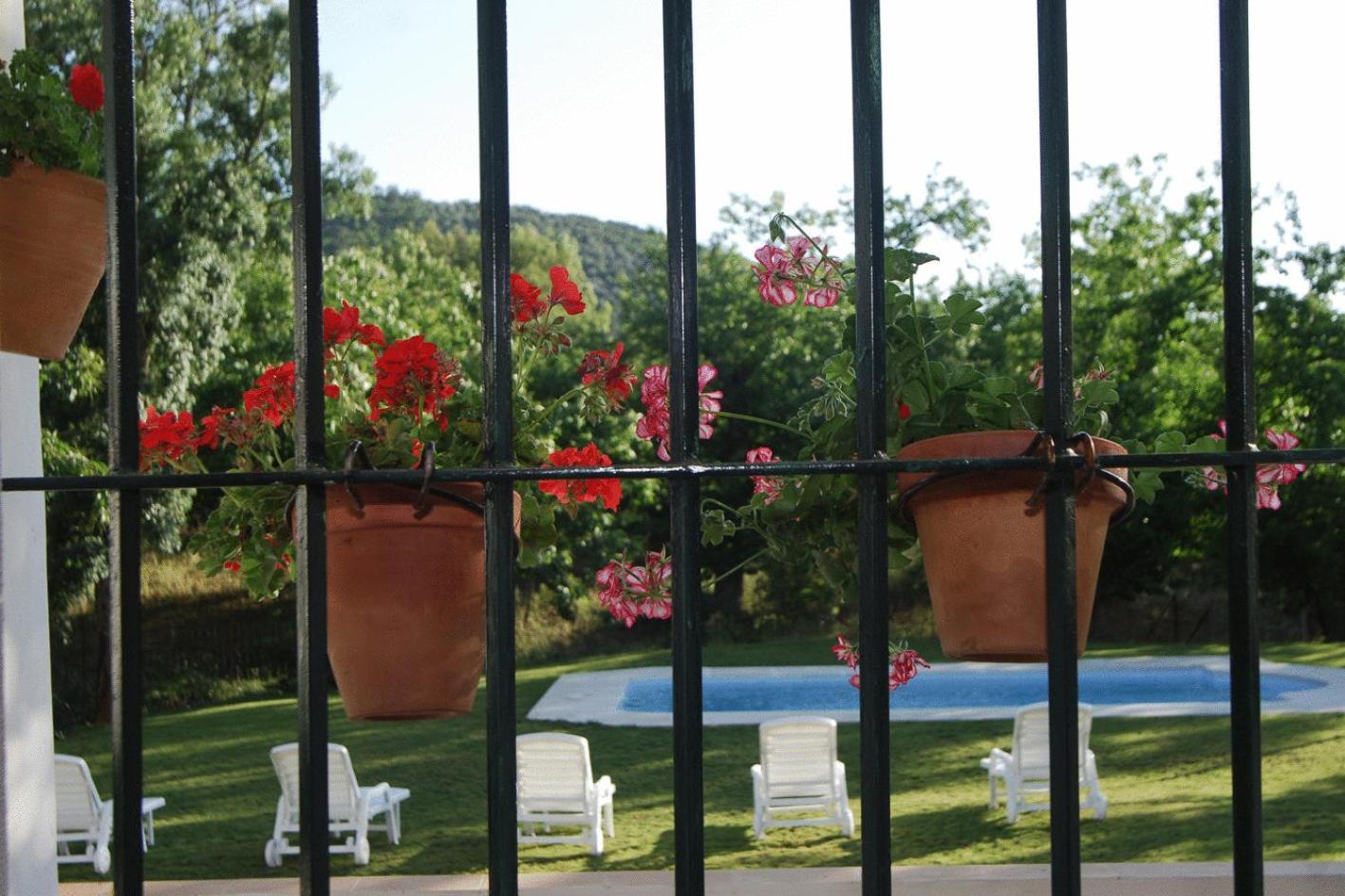 Hotel Apartamento Rural Finca La Media Legua Аракена Екстериор снимка