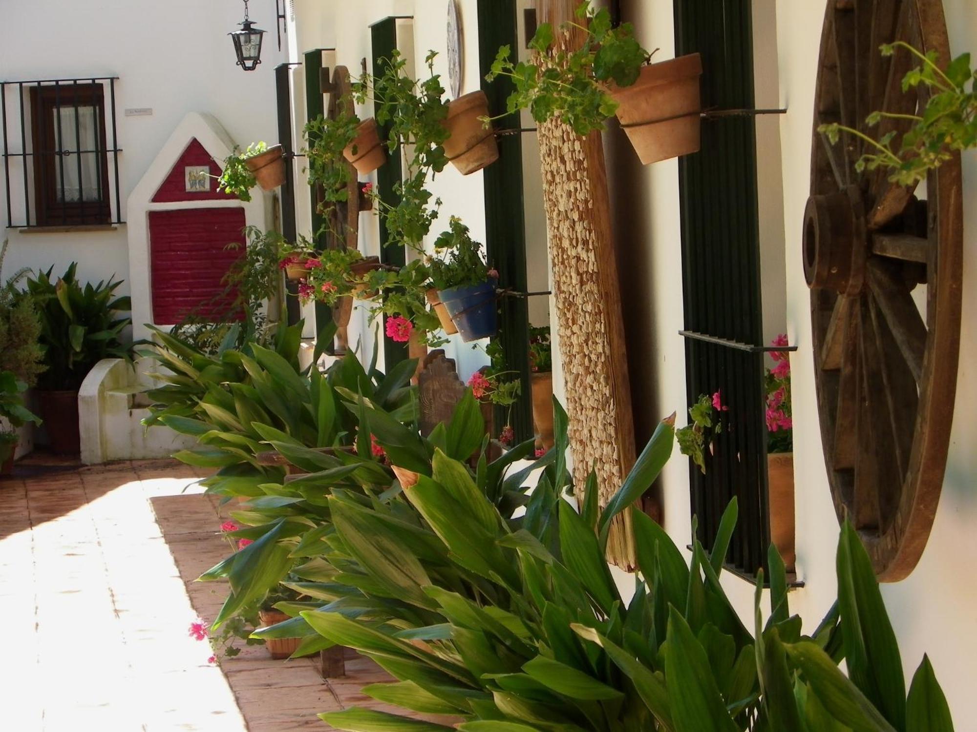 Hotel Apartamento Rural Finca La Media Legua Аракена Екстериор снимка