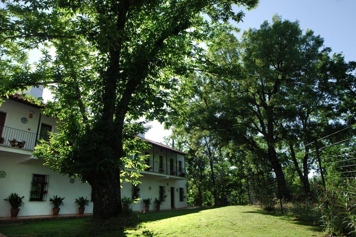 Hotel Apartamento Rural Finca La Media Legua Аракена Екстериор снимка