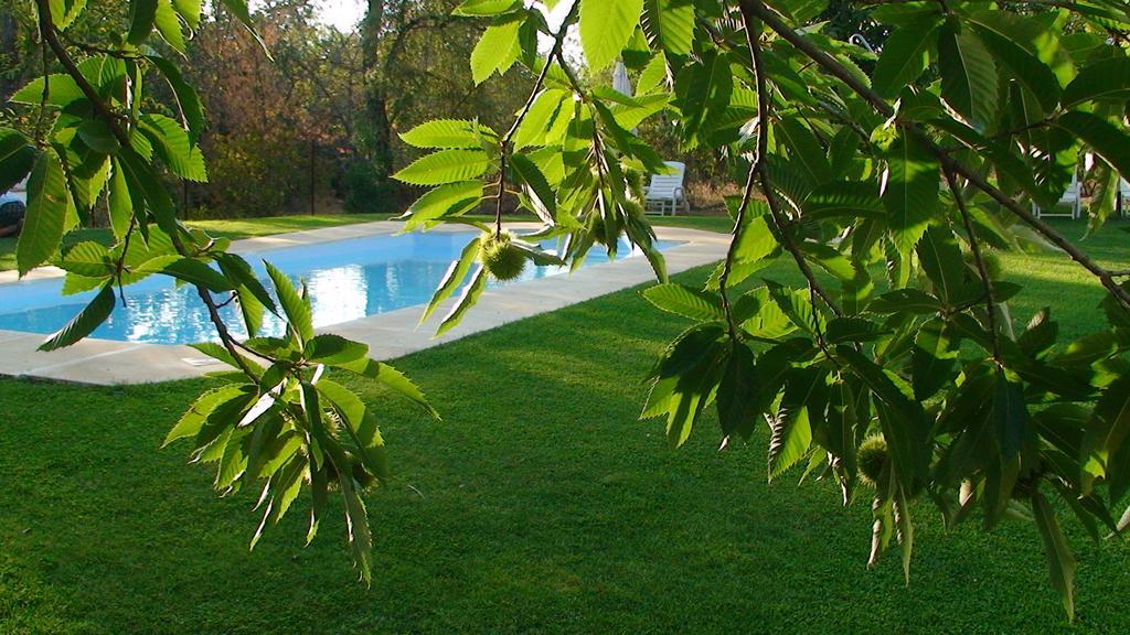 Hotel Apartamento Rural Finca La Media Legua Аракена Екстериор снимка